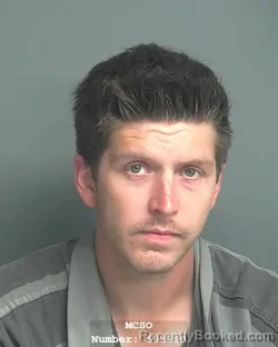 Mugshot of BRANDON MITCHELL RAY