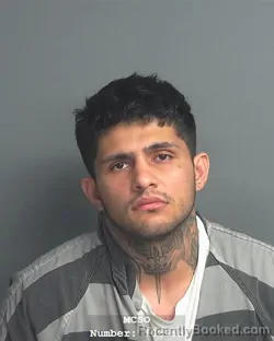Mugshot of FARHAD SAYOD ASEF