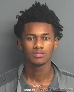 Mugshot of DAVID FITZGERALD ELZY