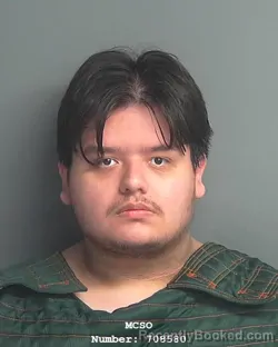 Mugshot of NOAH SAMUEL ESTRADA