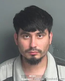 Mugshot of ERICK ALBERT TOLEDO