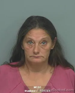 Mugshot of MARY LOU NOEL