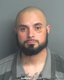 Mugshot of IVAN ULYSSES HERNANDEZ