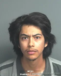 Mugshot of PABLO CASTELLANOS ESQUIVEL