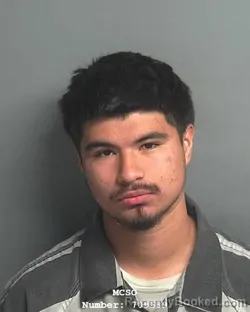 Mugshot of JAIME JAIMES