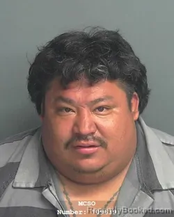 Mugshot of LUIS FELIPE DOMINGUEZ-SALINES