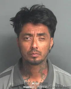 Mugshot of JULIO RIVERA HERNANDEZ