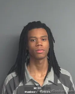 Mugshot of DEMETRIUS ESHAWNE CHESTNUT NEWSON