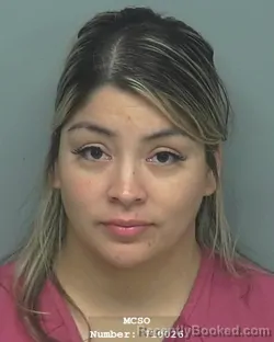Mugshot of ANDREINA CARDENAS