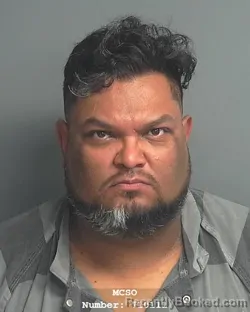Mugshot of LUIS ALONSO CANTON