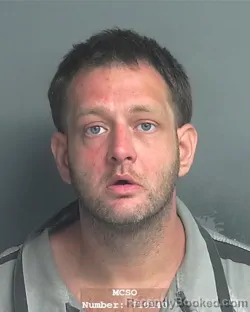 Mugshot of WILLIAM JEFFREY HALES