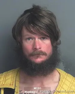 Mugshot of JOSHUA ALTON LEWIS