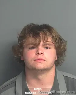 Mugshot of ETHAN LEE HARVEY