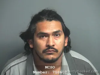 Mugshot of JESUS ENRIQUE VILLASENOR VILLA