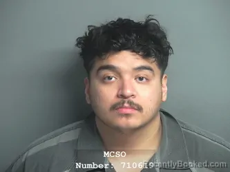 Mugshot of LEONARDO MALDONADO