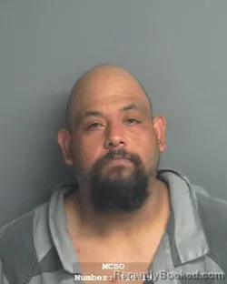 Mugshot of LUIS FERNANDO VILLALTA