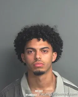 Mugshot of BRIAN JOMAR ROSARIO LOPEZ