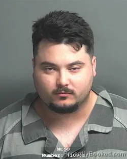 Mugshot of CHANCE DAVID HODGKINSON