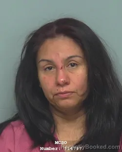 Mugshot of YOLIRIA YANEZ SAUCEDO