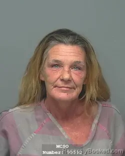 Mugshot of MELISSA ANN DAVIS