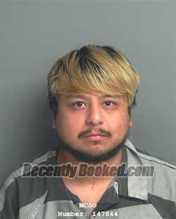 Booking photo from Montgomery County, Texas