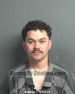 Booking photo from Montgomery County, Texas