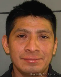 Mugshot of JUAN PEREZ ALVARADO