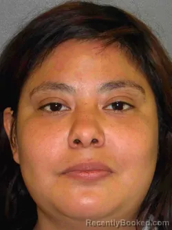 Mugshot of ANABELL CHANTAL VILLANUEVA booked in Moore County, Texas on April 2, 2026