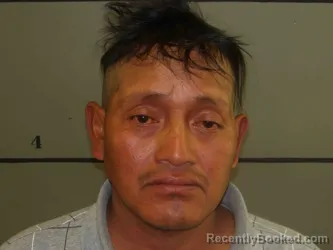Mugshot of PEDRO HERNANDEZ