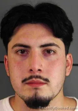 Mugshot of ARTURO VILLANUEVA CONTRERAS