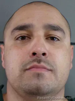 Mugshot of LUIS RAY JR RUIZ