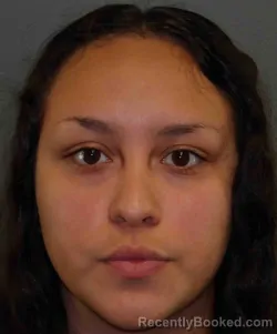 Mugshot of EVALYN JESUS VILLANUEVA booked in Moore County, Texas on April 4, 2026