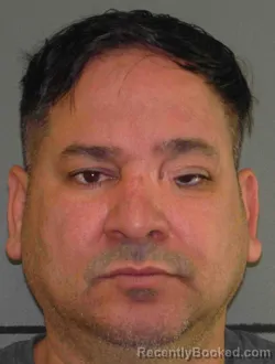 Mugshot of YONLIWIDER CASTRO