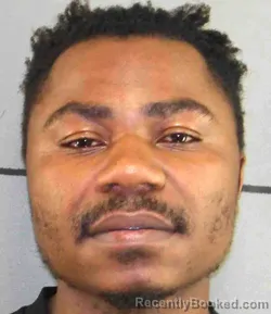 Mugshot of OLIVIER MITACHI