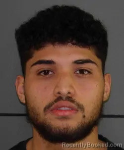 Mugshot of JESUS DAVID NAVA