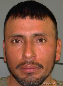 Mugshot of SAUL ESTRADA