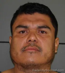 Mugshot of FERNANDO HIDALGO