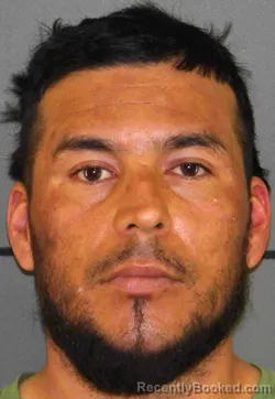 Mugshot of JOSE EDUARDO ORTEGA