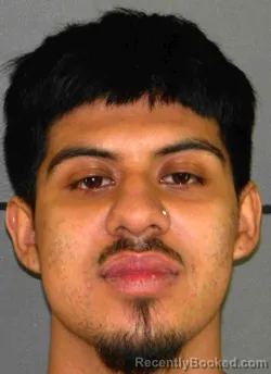 Mugshot of ELIAS ANGEL CASTILLO