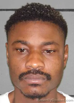 Mugshot of JODELIN TOUSSAINT booked in Moore County, Texas on March 24, 2026