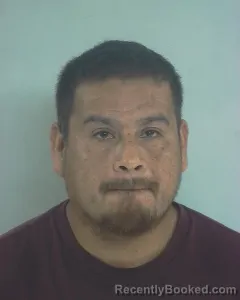 Mugshot of LUIS ORTIZ