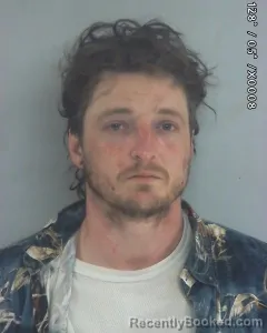 Mugshot of MICHAEL MASON LEWING