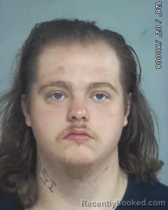 Mugshot of SETH DAVID WALLACE