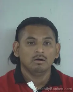 Mugshot of MARCO MORALES