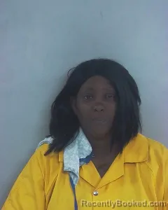 Mugshot of LISA GAIL JOHNSON