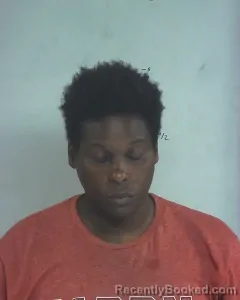 Mugshot of BEYONKA LASHAUN BELL