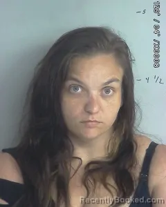 Mugshot of CHRISTINA RENEE SMITH