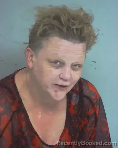 Mugshot of STACEY BURFORD WELLS booked in Nacogdoches County, Texas on April 2, 2026