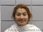 Mugshot of MARGUERITA INFANTE booked in Navarro County, Texas on April 3, 2026