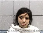 Mugshot of MICHELLE VALENTINA ALVAREZ booked in Navarro County, Texas on July 20, 2026